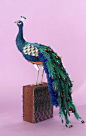 Colorful Regal Peacock Handpainted Art Glass Vase@北坤人素材