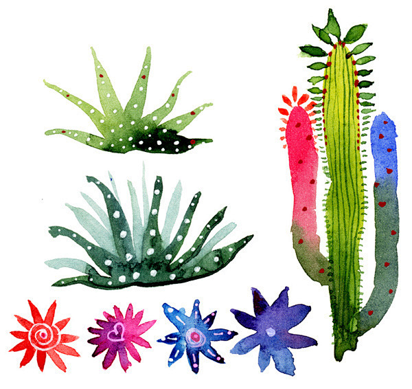 Watercolor cactus : ...