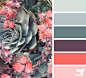 Design Seeds : Design Seeds color palettes ... posted daily for all who love color.