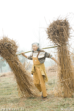 榴莲奶茶君采集到人体动态