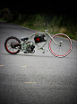 Blackbird custom bikes