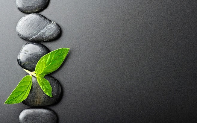 nature leaves stones...