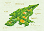 日光市近期邀请日本知名插画师矢野恵司操刀，巧妙地将当地的特色景点与动物相结合，绘制了 5条特色观光主题路线地图。

你都能看出是哪些动物吗  ​​​​
