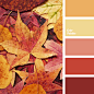 Color Palette Ideas | ColorPalettes.net : Free collection of color palettes ideas for all the occasions: decorate your house, flat, bedroom, kitchen, living room and even wedding with our color ideas | Page 363 of 459.