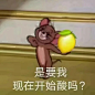 猫和老鼠表情包 可可爱爱 ​​​​