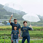 从前有片海，海里有座山，山里有户人家，活得像个童话。 : 这一家三口在山里种80多款蔬果，一一研究它们的吃法。哦，还开了个咖啡馆。