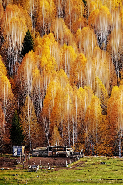 苍耳1980采集到风景照片