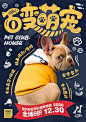 宠物店领养活动海报-志设网-zs9.com