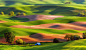 General 1920x1108 USA landscape field Steptoe Butte State Park hills nature green trees