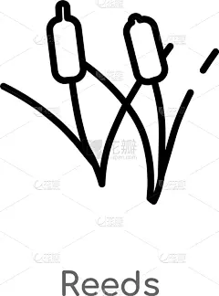 分离着色,轮廓,芦苇,黑色,计算机图标,简单,线条,白色,创造力,自然