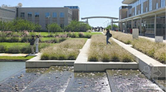 JessieDan采集到LA_Water Feature