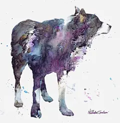 狼高清素材 创意狼 动物 星空 水彩狼 元素 免抠png 设计图片 免费下载 页面网页 平面电商 创意素材