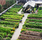 Oestergro, A Urban Farm Landscape Made In Denmark - landscaping