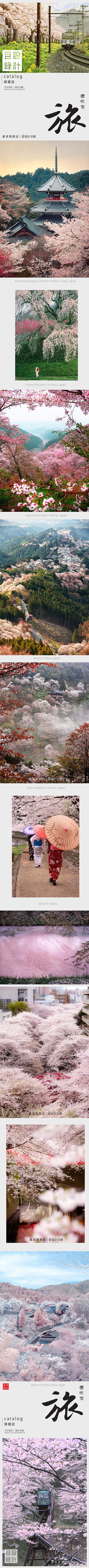 櫻吹雪 | 奈良春櫻的花海最美處「吉野山...