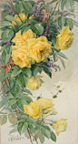 "Flowers And Bees" - Paul de Longpre, Watercolor  c.1855-1911 - From The Cooley Gallery: 