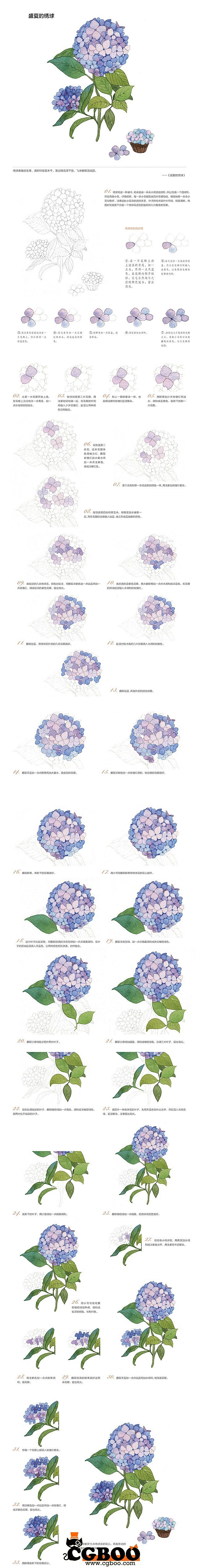 283原画图文教程-水彩-盛夏的綉球花原...