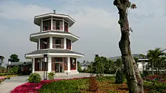 广州, 花壁纸, 中国, 宝塔, 美丽的花朵, 建造, 树木, 花朵, 植物