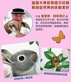 【乐乐趣旗舰店】亮丽精美触摸书4册 小兔比利小熊波比宝宝书籍0-2岁婴幼儿撕不烂早教感官刺激低幼儿童认知图书动物朋友靓丽书籍-tmall.com天猫