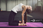 Camel pose_创意图片