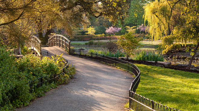 Regents Park, London...