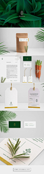 Concepts We Wish Were Real — The Dieline - Branding & Packaging Design…: