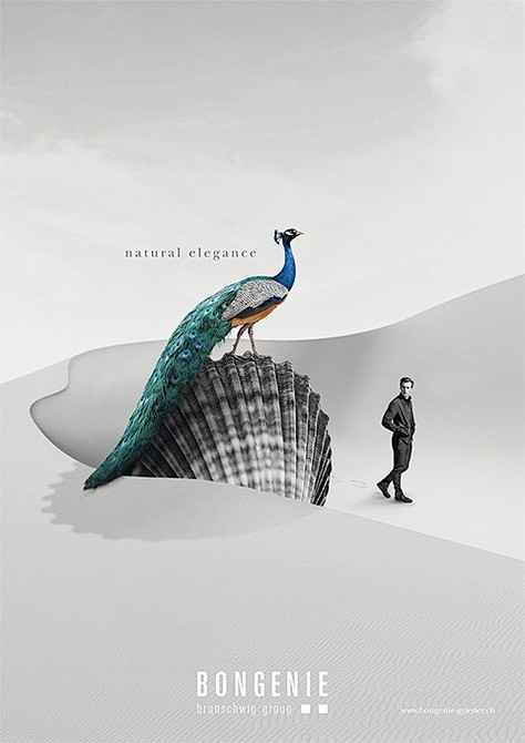 natural elegance - b...