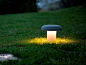 AMANITA-Martinelli-Luce-543850-rel833fdce6