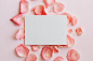 Free Composition of paper with flowers petals on table Stock Photo