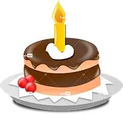 生日蛋糕 蛋糕 生日快乐 蜡烛 食物 庆典