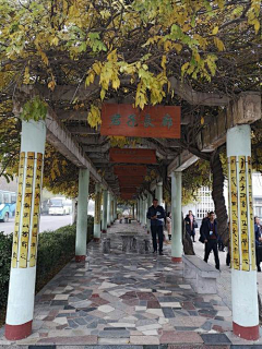 Pingo瓶子酱采集到文旅-廊架
