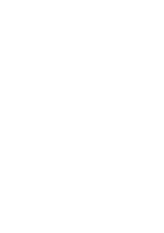白纱 (2)