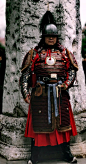 Ming dynasty style lamellar armor : ArmsandArmor