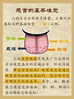 你喝到咖啡里的酸甜苦咸了吗？ - 小红书