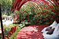 RHS Medal Winner 11 : Ann-Marie Powell - British Heart Foundation - See more at: contemporary-landscape