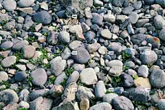 石头 卵石 蒙古包 巨济岛 美丽的壁纸 质地 地面 地球 巨石