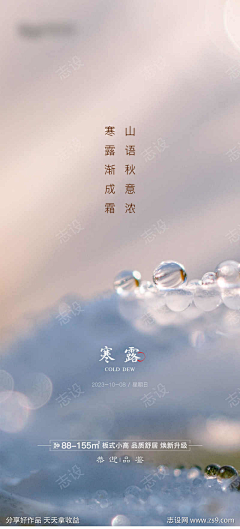 别拿青春赌明天了采集到电商(下载请查看来源)
