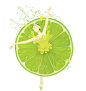 png 小素材 透明 免扣图 柠檬 橙子 维生素C <a class="text-meta meta-mention" href="/helo/">@楠哒二哒哒</a>