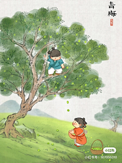 莉莉的星期天采集到24节气参考