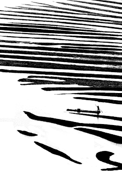 LarkspurD采集到素材-排版