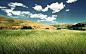 landscapes grass  / 1920x1200 Wallpaper