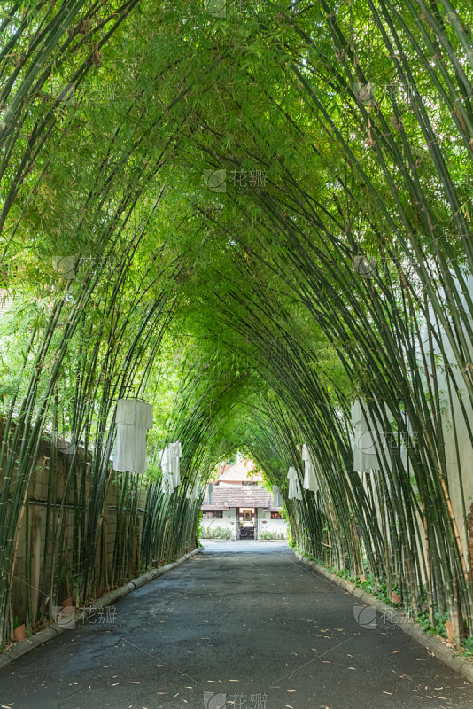 公园,都市风景,曼谷,商务,城市生活,曙...