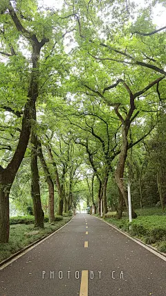 旅游照 乌镇 杭州 风景 随拍 写真