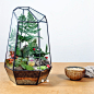 夏至 苔藓微景观植物龙猫生态瓶绿植办公室创意迷你小盆栽 包邮