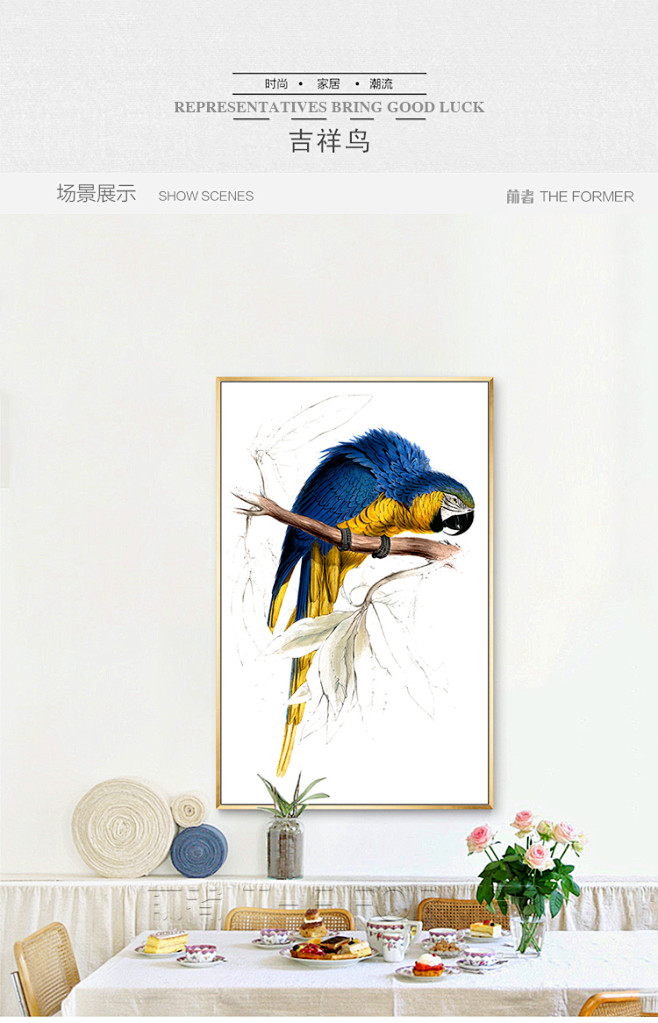 前者动物装饰画鹦鹉吉祥鸟系列创意简约卧室...