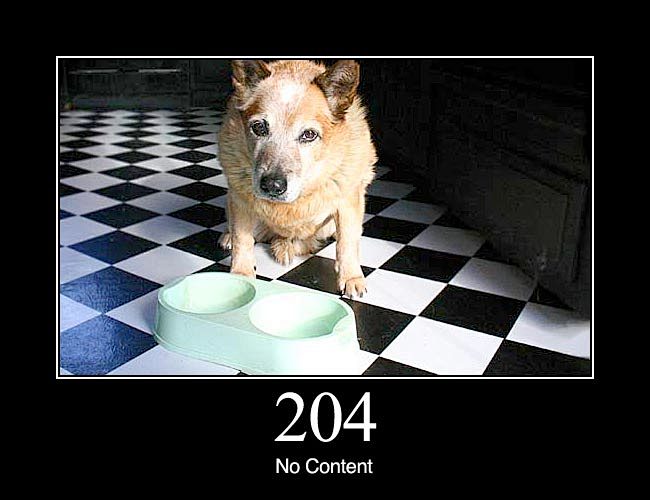 204 No Content: The ...