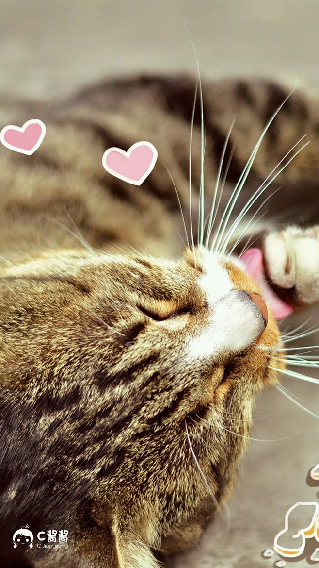 萌萌哒猫咪可爱配图
#猫咪##萌宠# #...