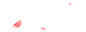 花瓣飘飞