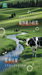 @蒙牛精选牧场 的个人主页 - 微博