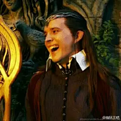 #BretMcKenzie生日快乐# 今天是Bret McKenzie的40岁生日，他在《魔戒》中饰演Figwit（粉丝取名），在《霍比特人》中饰演Lindir。他与中土的故事也是一段佳话（图一）。美貌的林谷一枝花为我们奉上了多少表情包~【嫌弃脸】