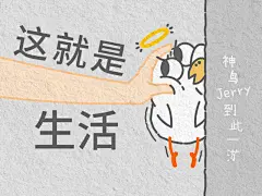 采集图片